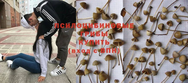 скорость Баксан