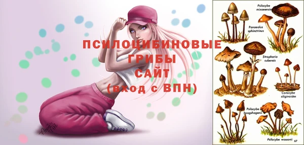 гидра Лихославль